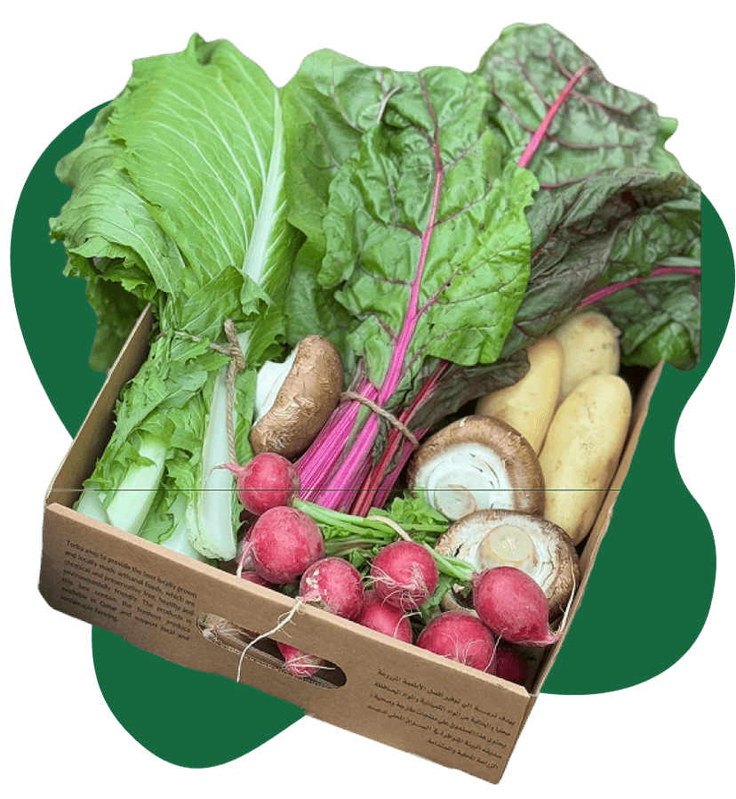Box features banner